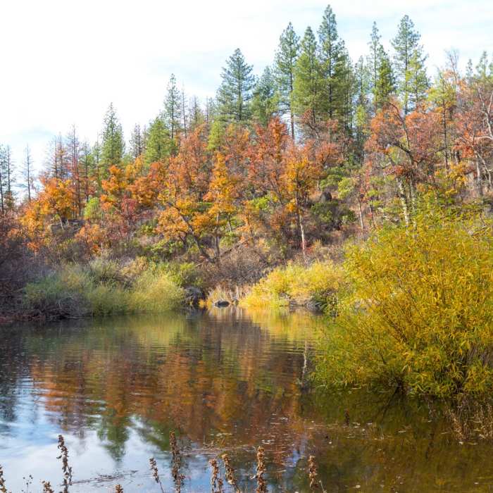 Near Headwaters Trail + PCT bridge