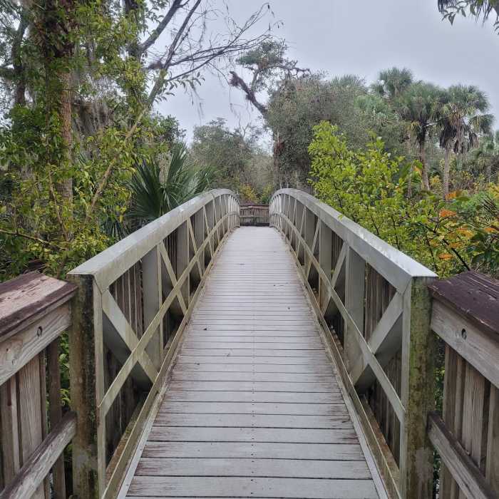 Near Hickey's Creek Trail