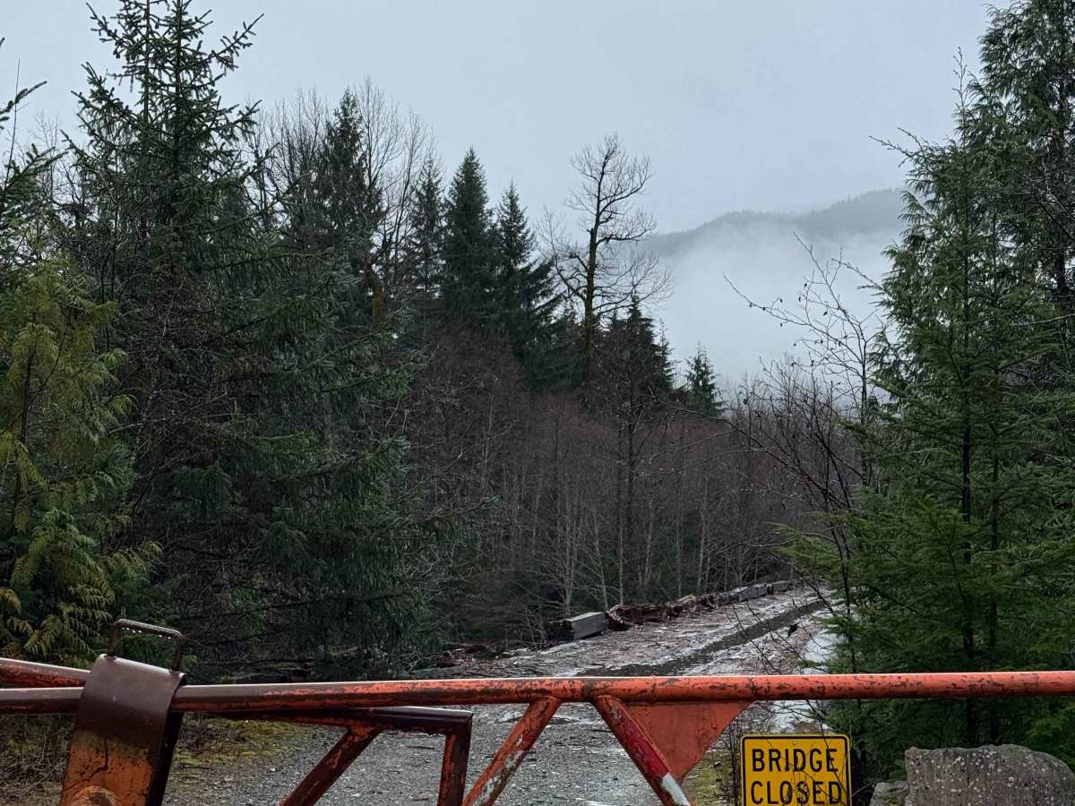 Upper Kitimat Road photo 6