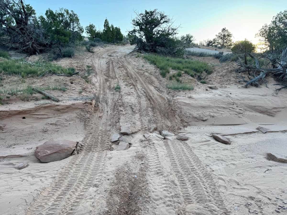 Sandy Bottoms photo 4