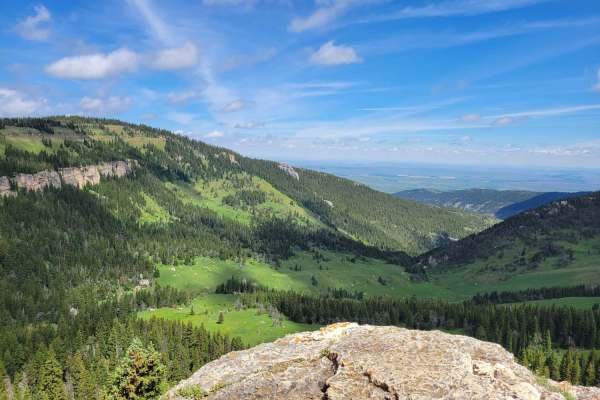 Fools Creek Trails
