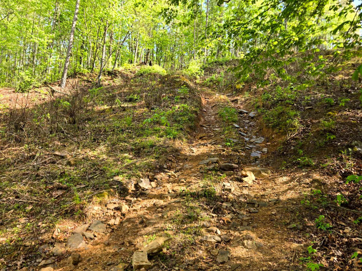 Burr Ridge photo 6