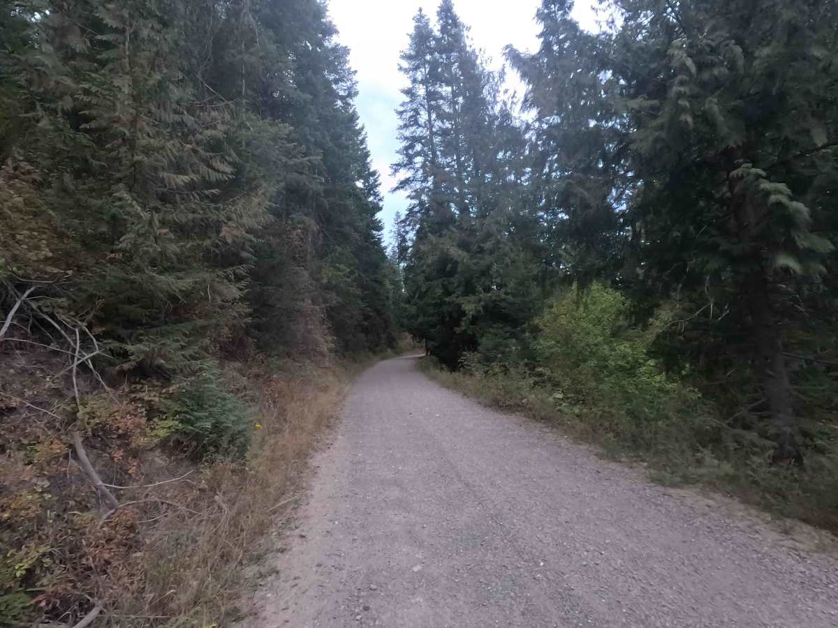 Kings Lake Road - FS 50 photo 5