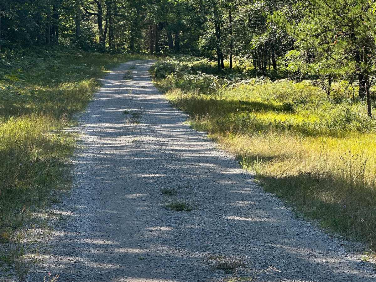 Bear Loop photo 4