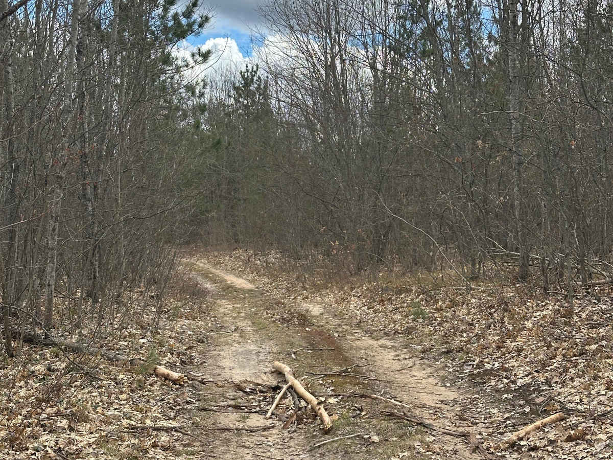 Pipeline Loop photo 4