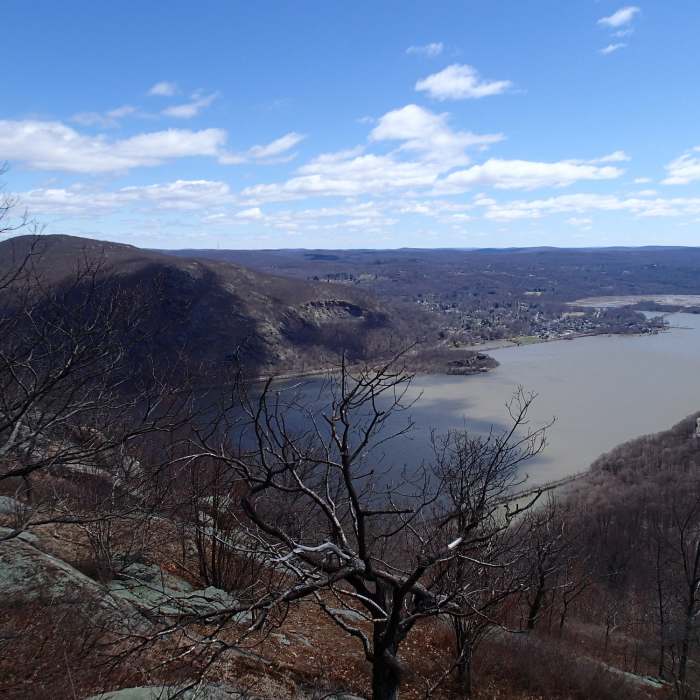 Near Stillman-Bluebird Loop
