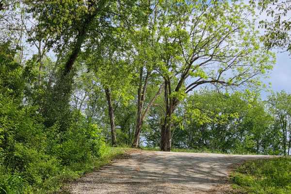 Pierson Road