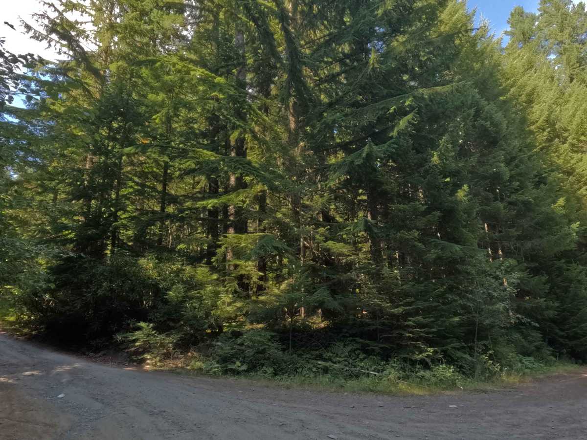 South Eagle Pit / Quarry - FS 4615130 photo 2
