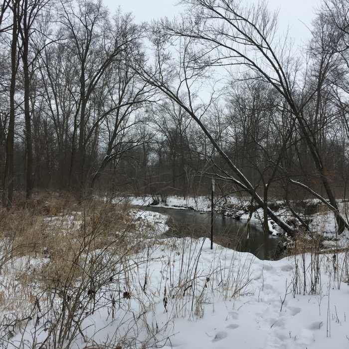 Near James P. Covell Nature Preserve Trail