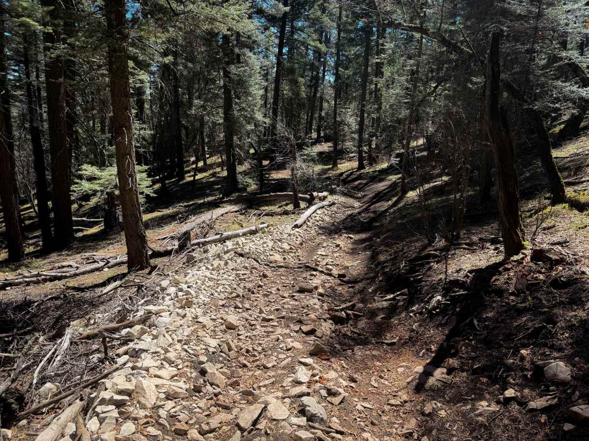 Benson Canyon Spur - FS 5005B  photo 5