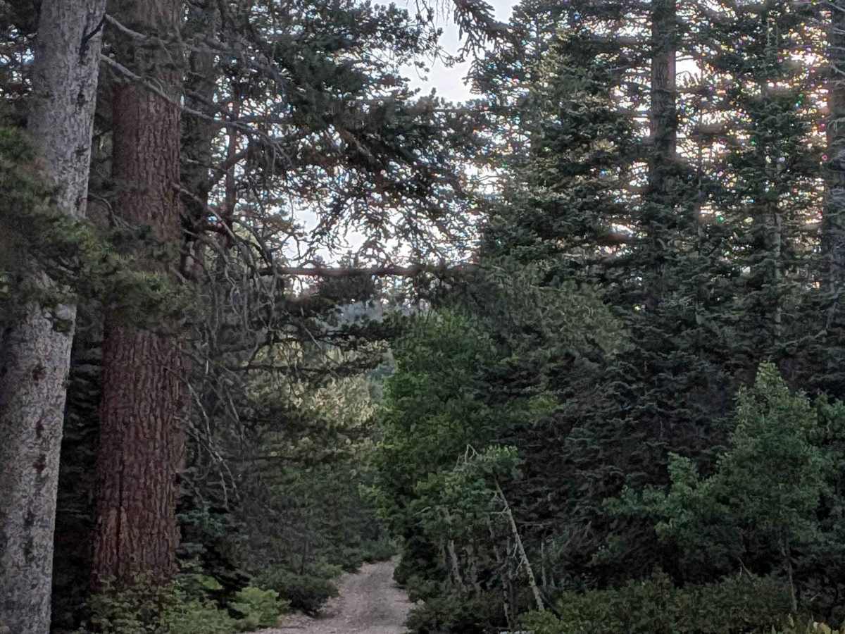 Stockade Flat Road photo 3