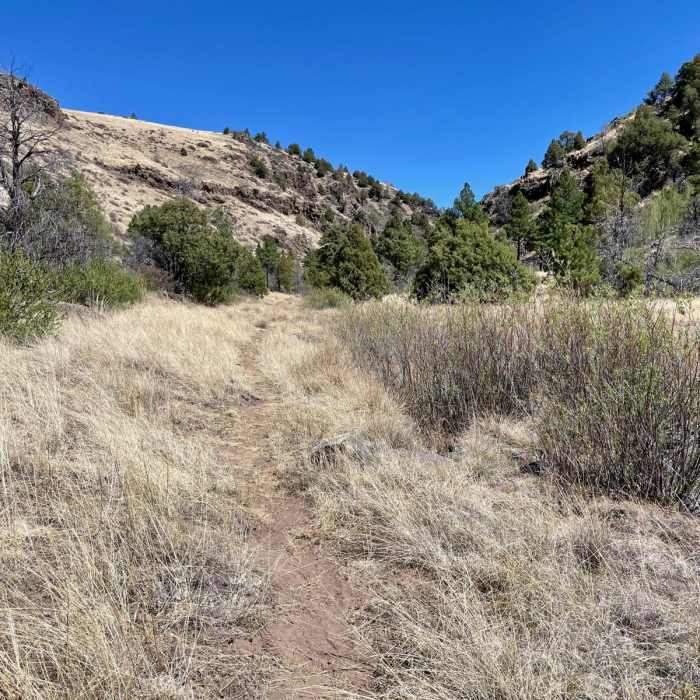 Near Continental Divide Trail: Gila River Alternate (Part 3)