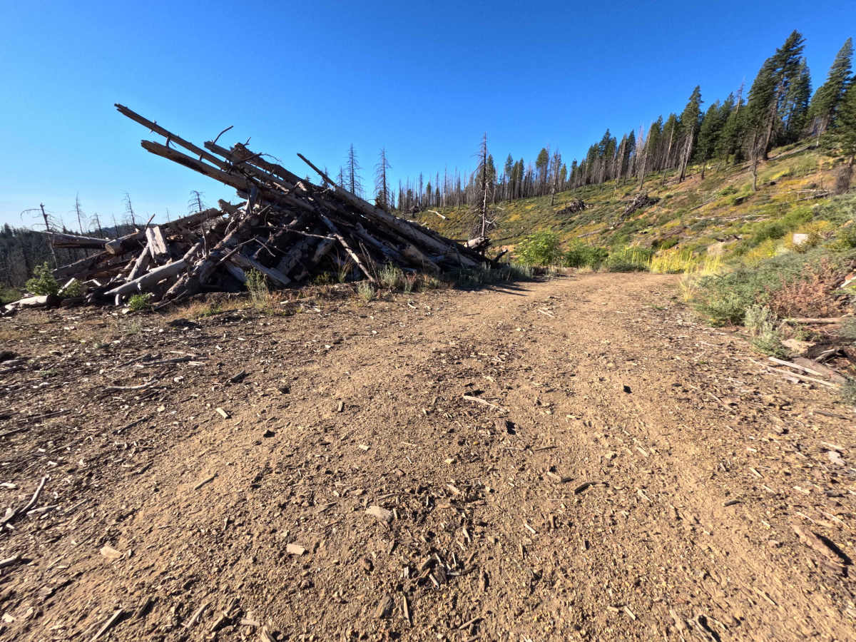 Snow Basin Creek - FS 22N10 photo 2