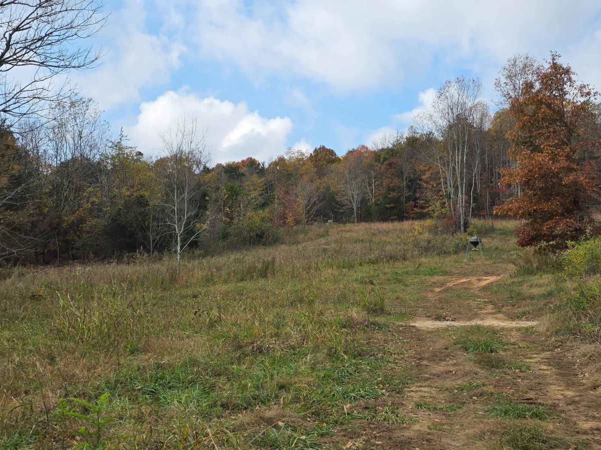 Field Loop photo 3
