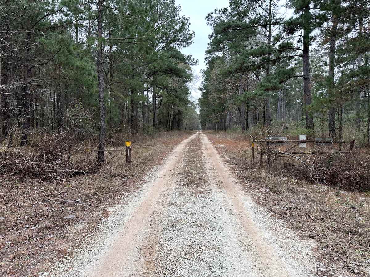 Hostetter - FS 238 trail photo