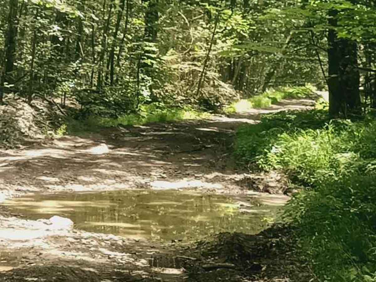Beam Hill Road photo 5