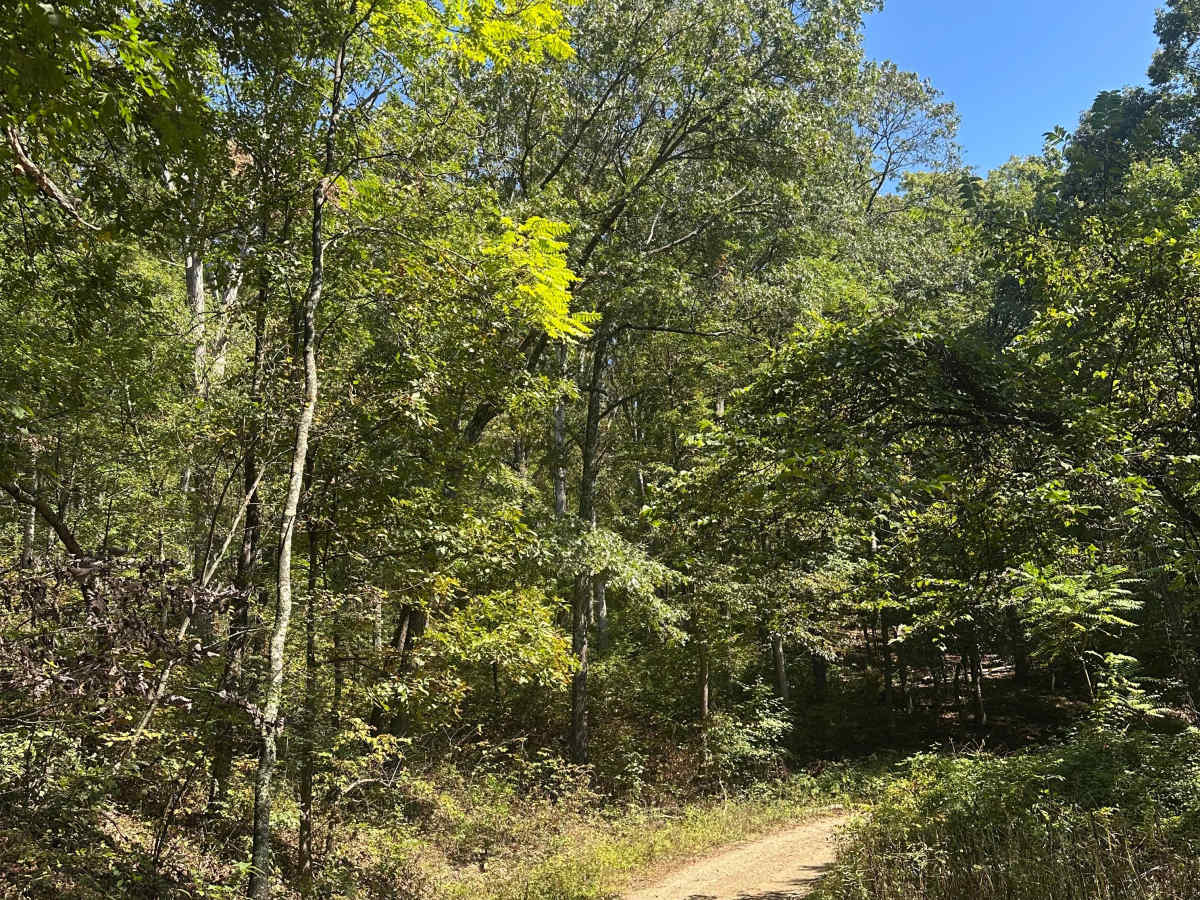 Oldtown Connector  photo 4