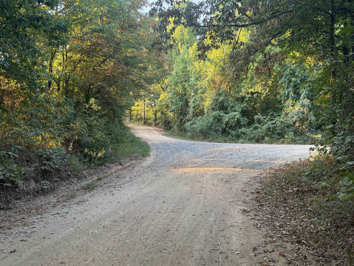 Polk Road 32 photo 5