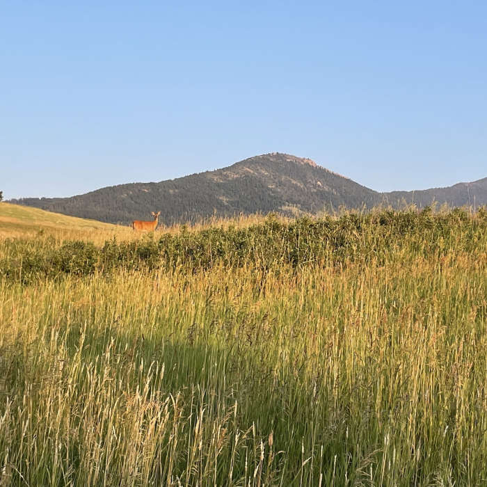 Near Painted Hills Trail (and Connector Trail)
