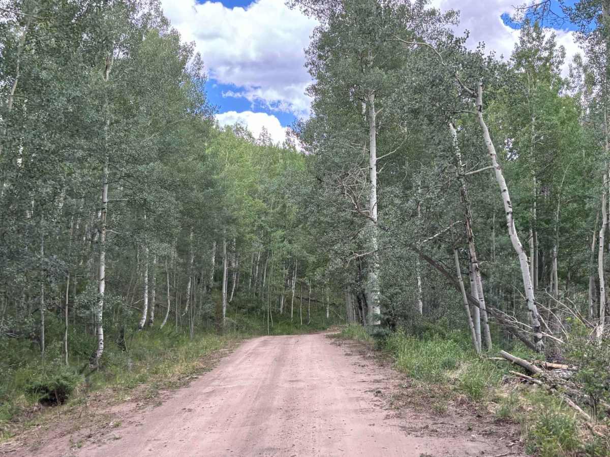 Nast Lake Access photo 3