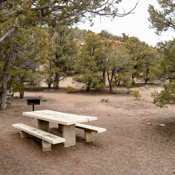 Near Hickison Petroglyph Recreation Area Interpretive Trail