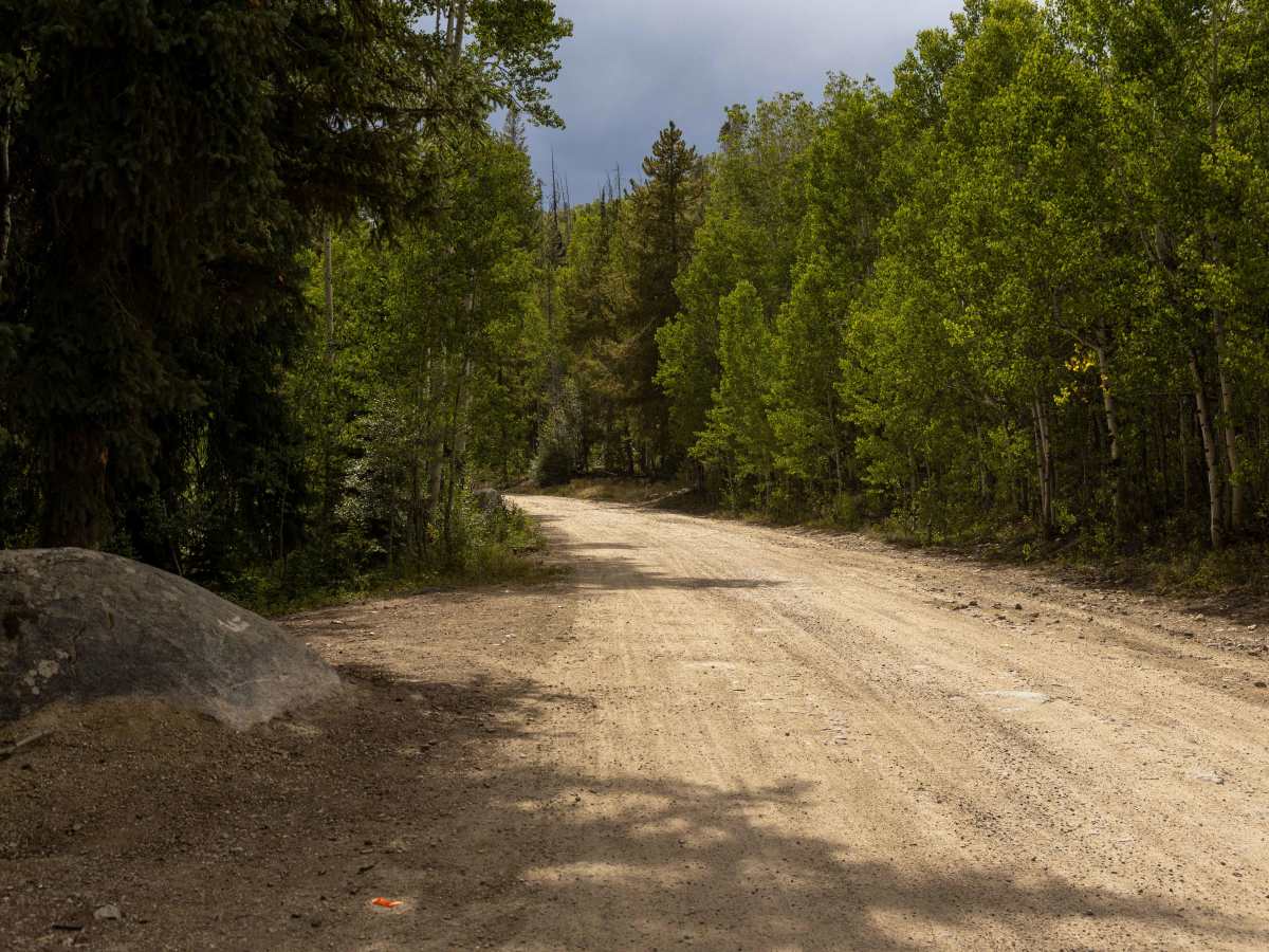 Byers Peak trail photo