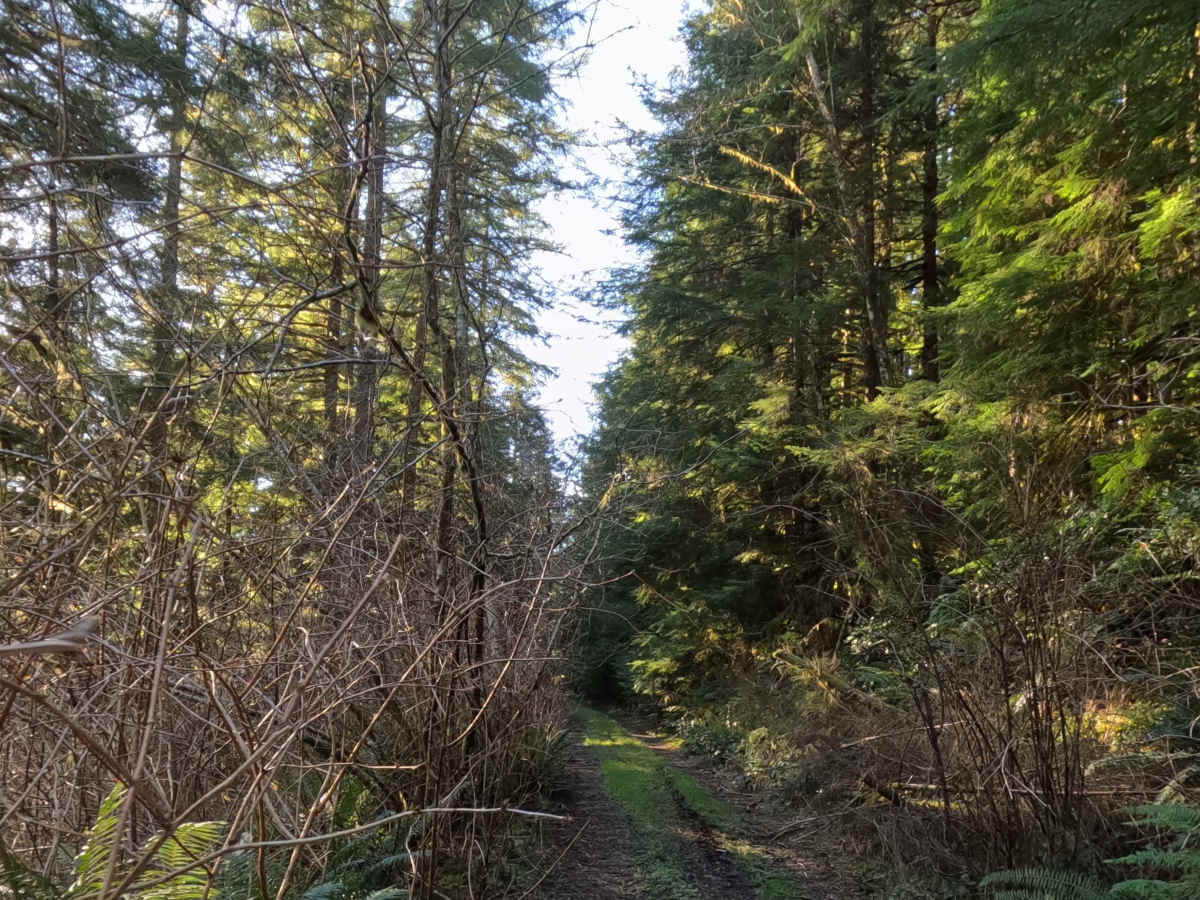 Miles Mountain photo 6