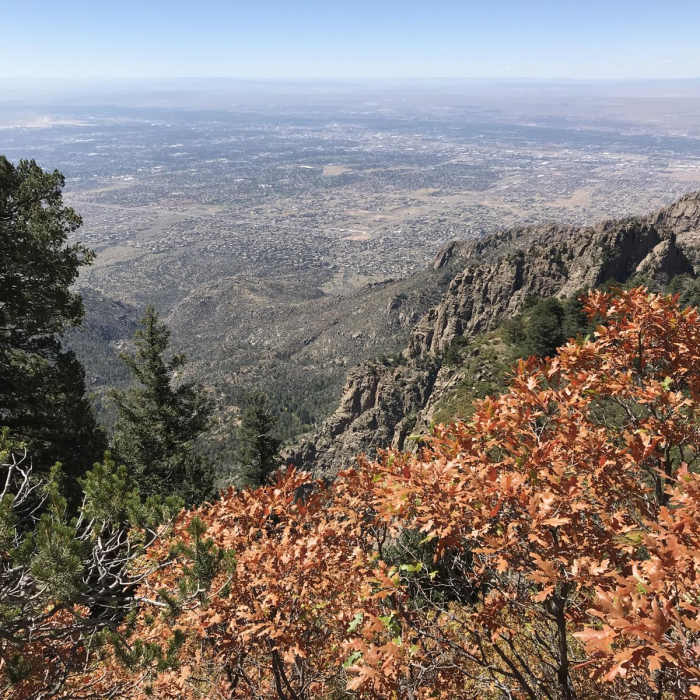Near La Luz Trail