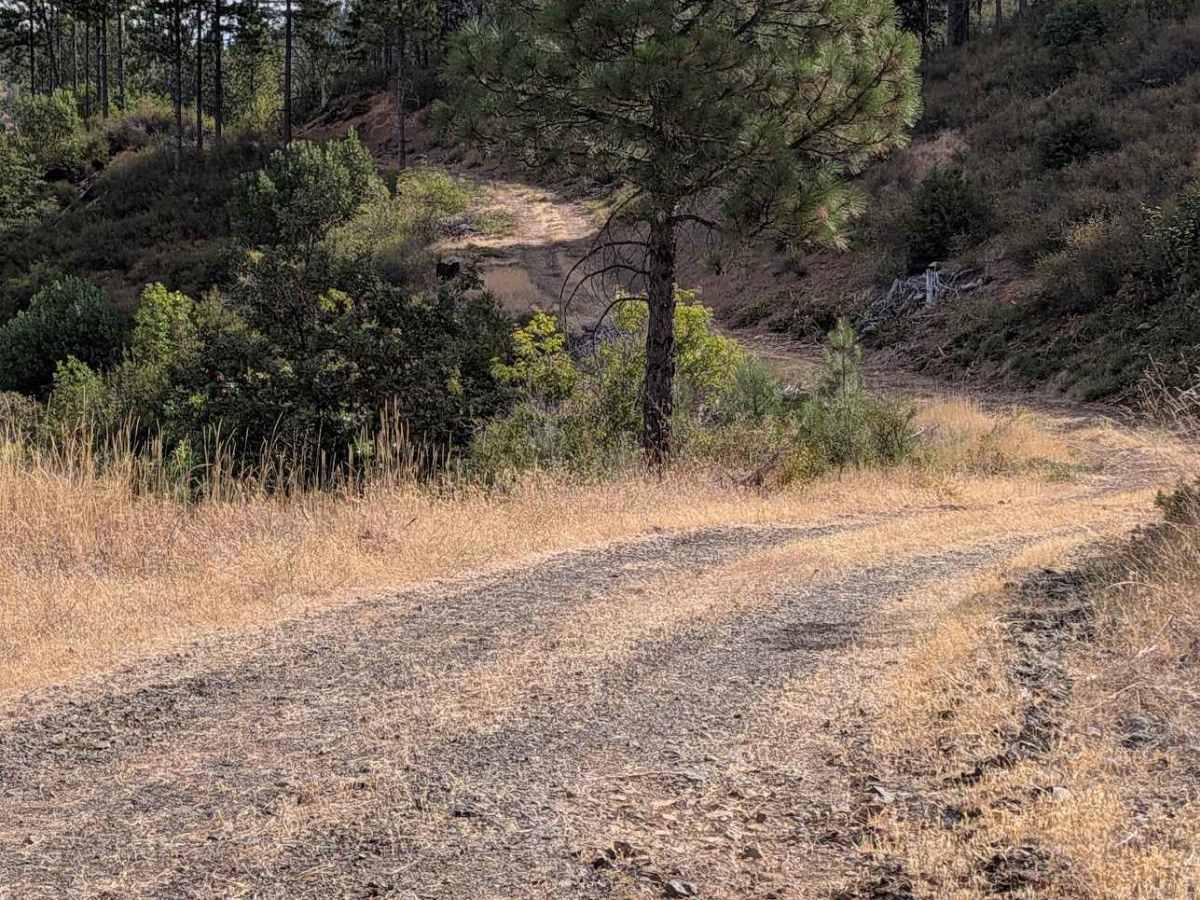Crewcut Road - FS 4N04  photo 3