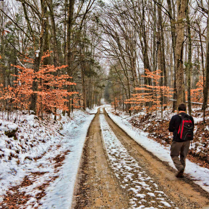 Mammoth Cave National Park on the Buffalo Creek Trail Near Buffalo Creek - Collie Ridge - Mill Branch Trails
