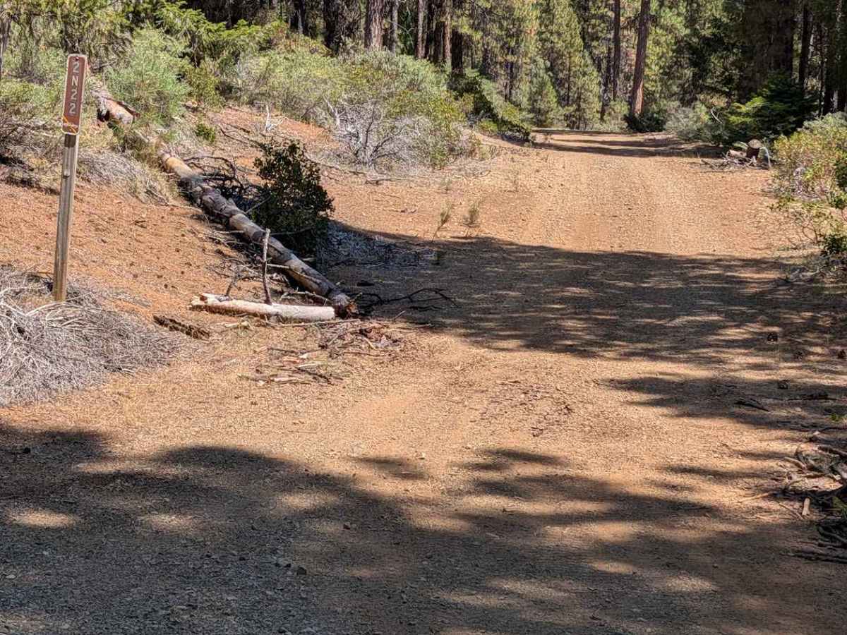 Camp Carter Road - FS 2N22 trail photo