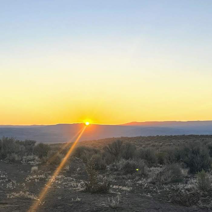 Near Domingo Pass Road Near Domingo Pass Road
