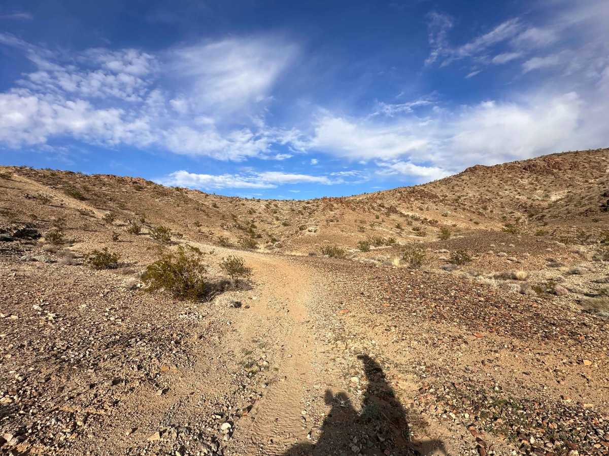 Willie Nelson trail photo