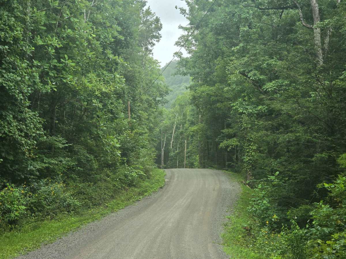 Stinking Creek Road photo 3