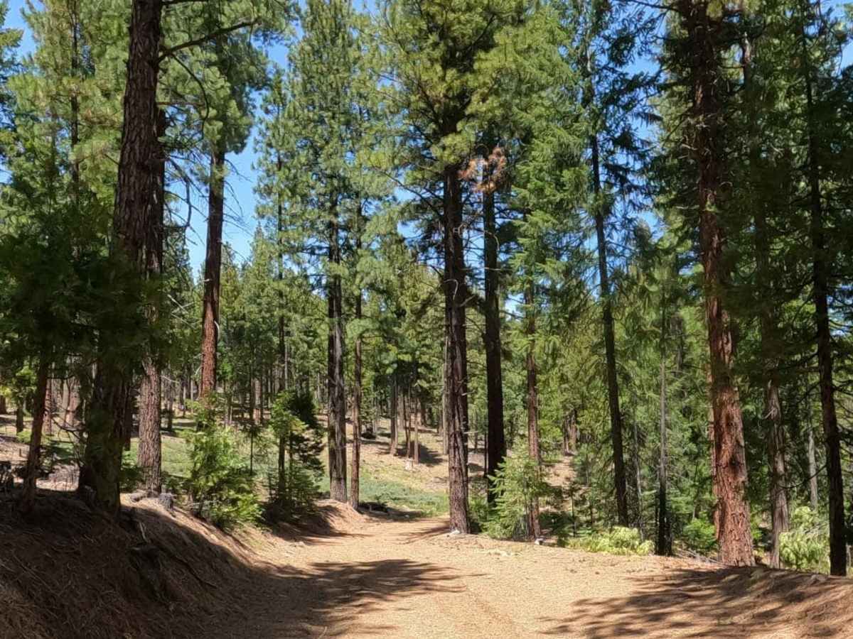 Bonta Ridge - NF23N05Y photo 2