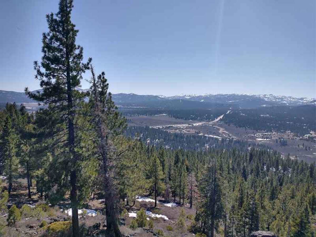 Boca Hill photo 2