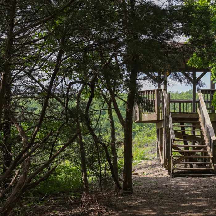 Near Streamside Trail