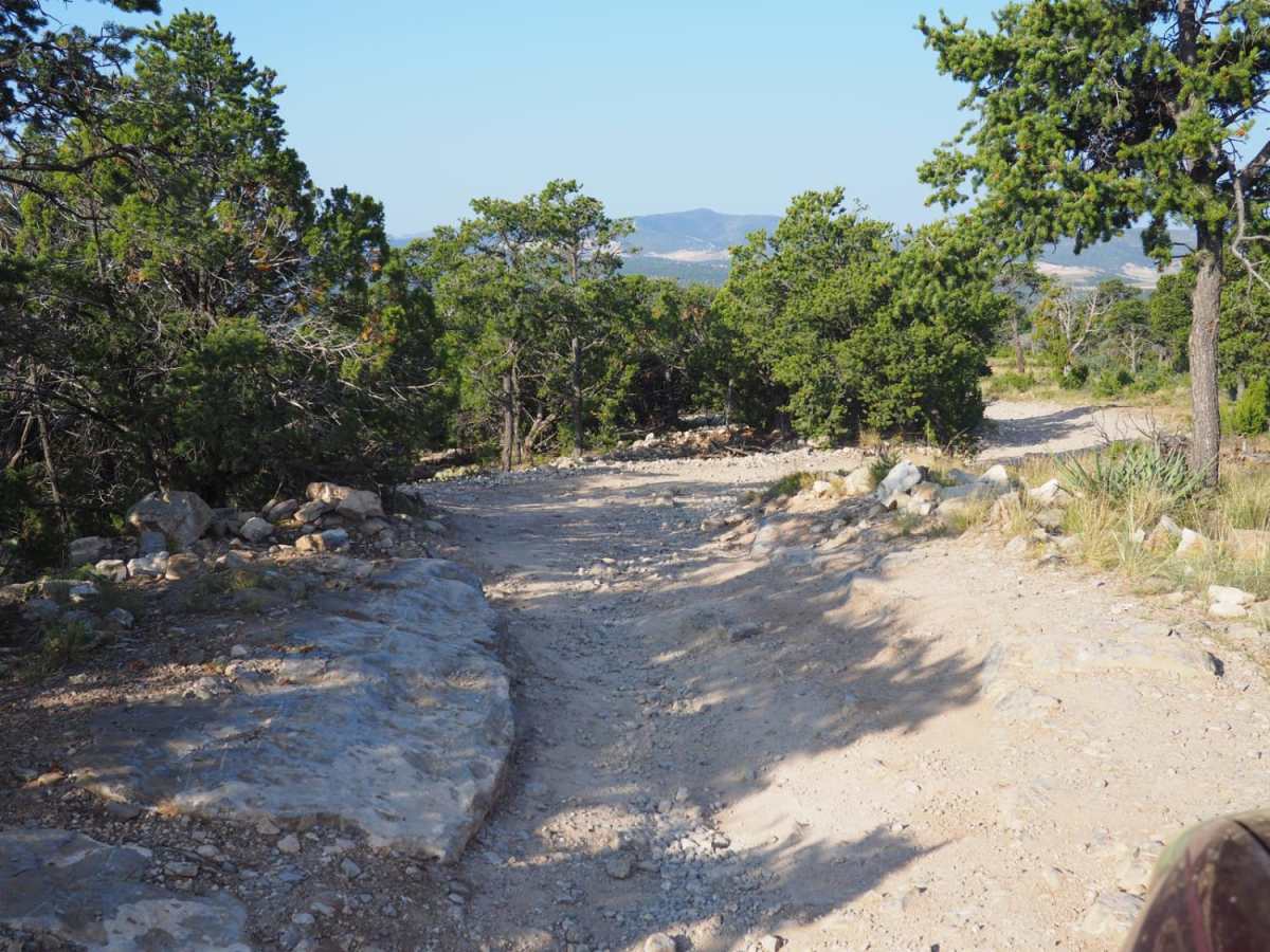 Coyote Mesa Trail photo 3