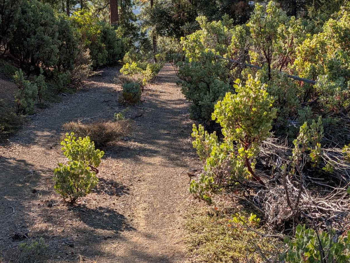 Telephone Ridge Road - FS 30N24 photo 6