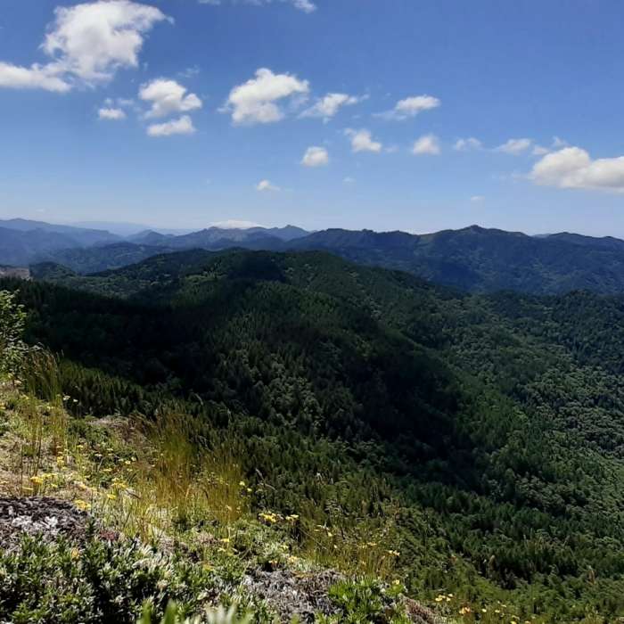 Near Cedar Butte Trail