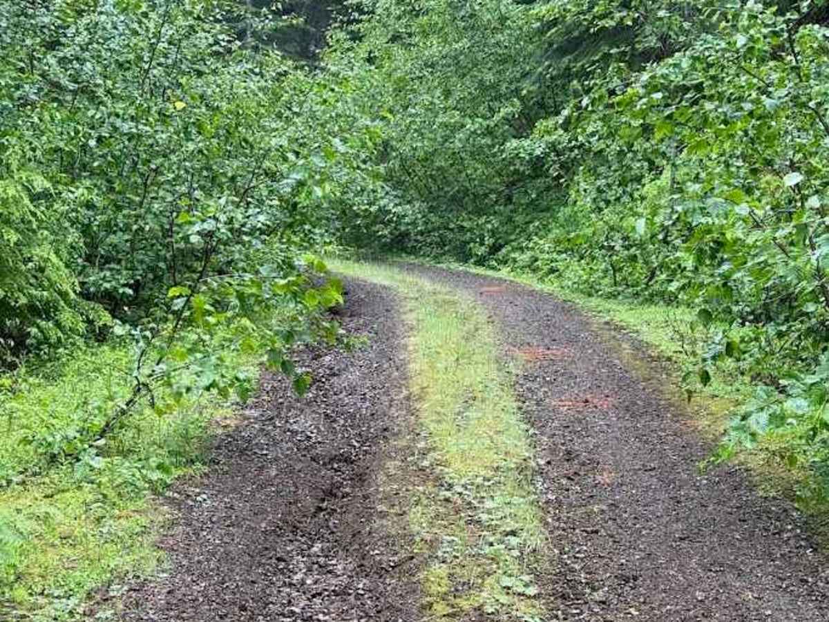 Line Road - FS 5403210 photo 3