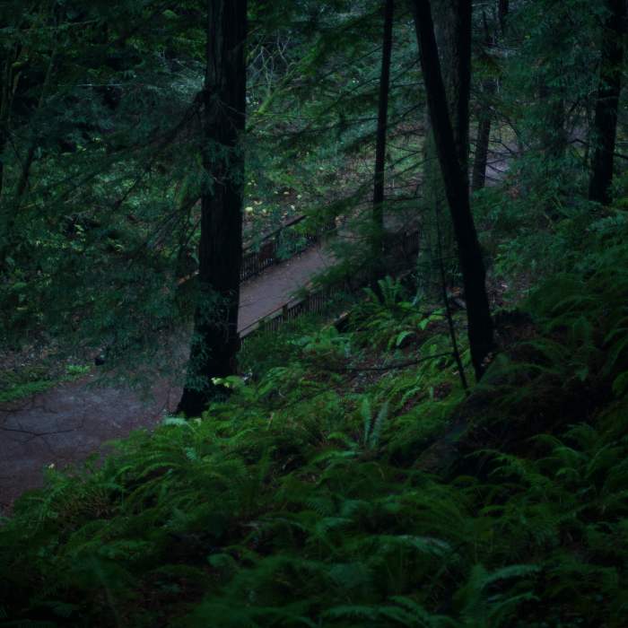 Near Grabtown Gulch - Borden Hatch Mill Loop Trail