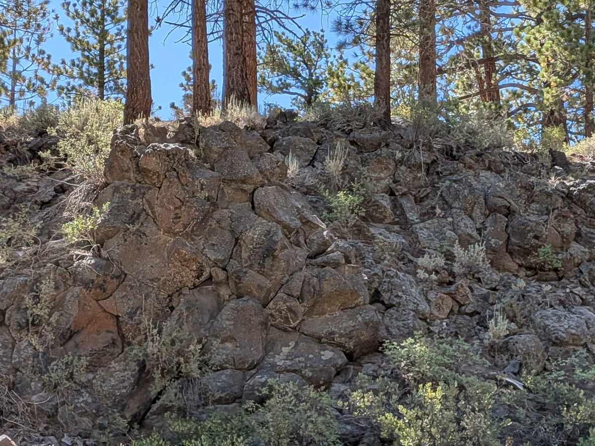 Sherwin Creek Road - FS 4S08 photo 6