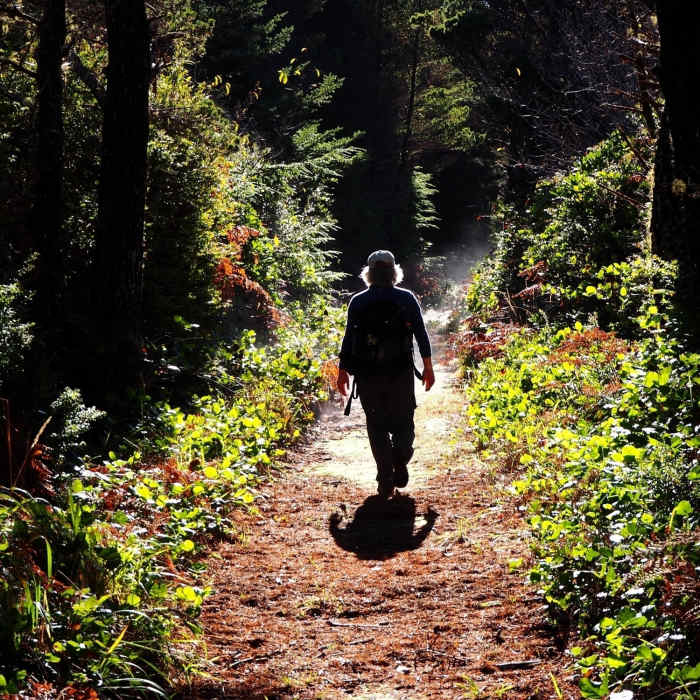 Near Blacklock Point Connector Trail