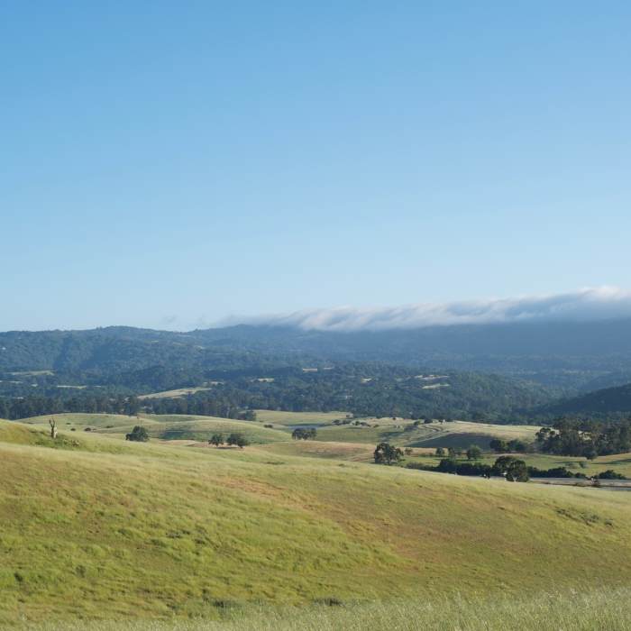Near Stanford Dish: Ranch Road via Piers Gate