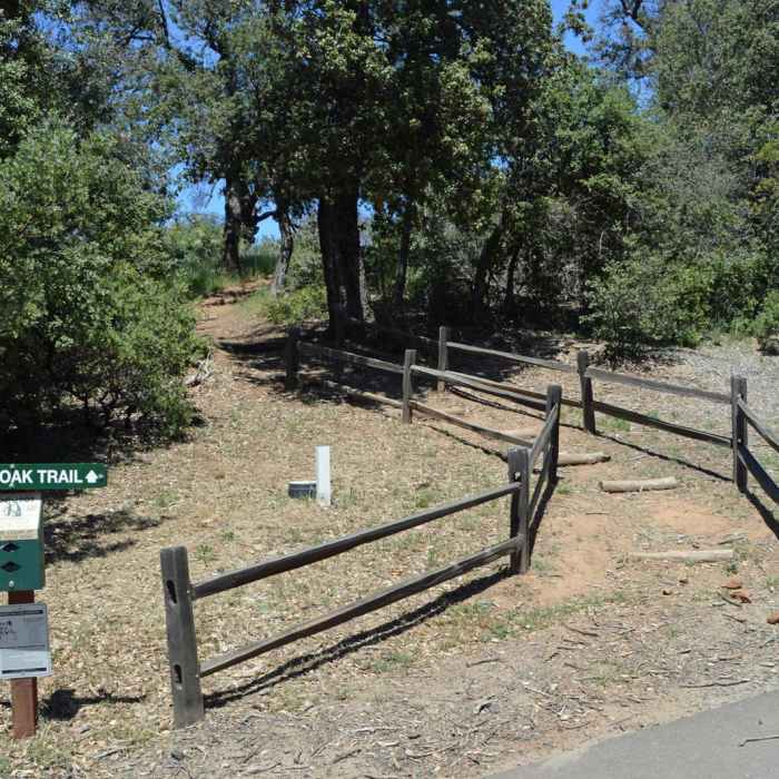 Near Canyon Oak Trail