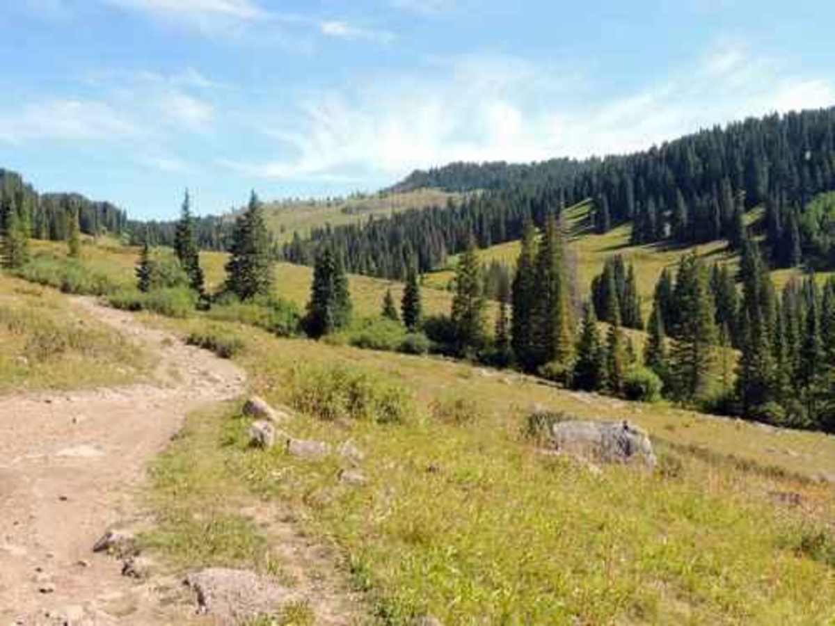 Leon Lake photo 5