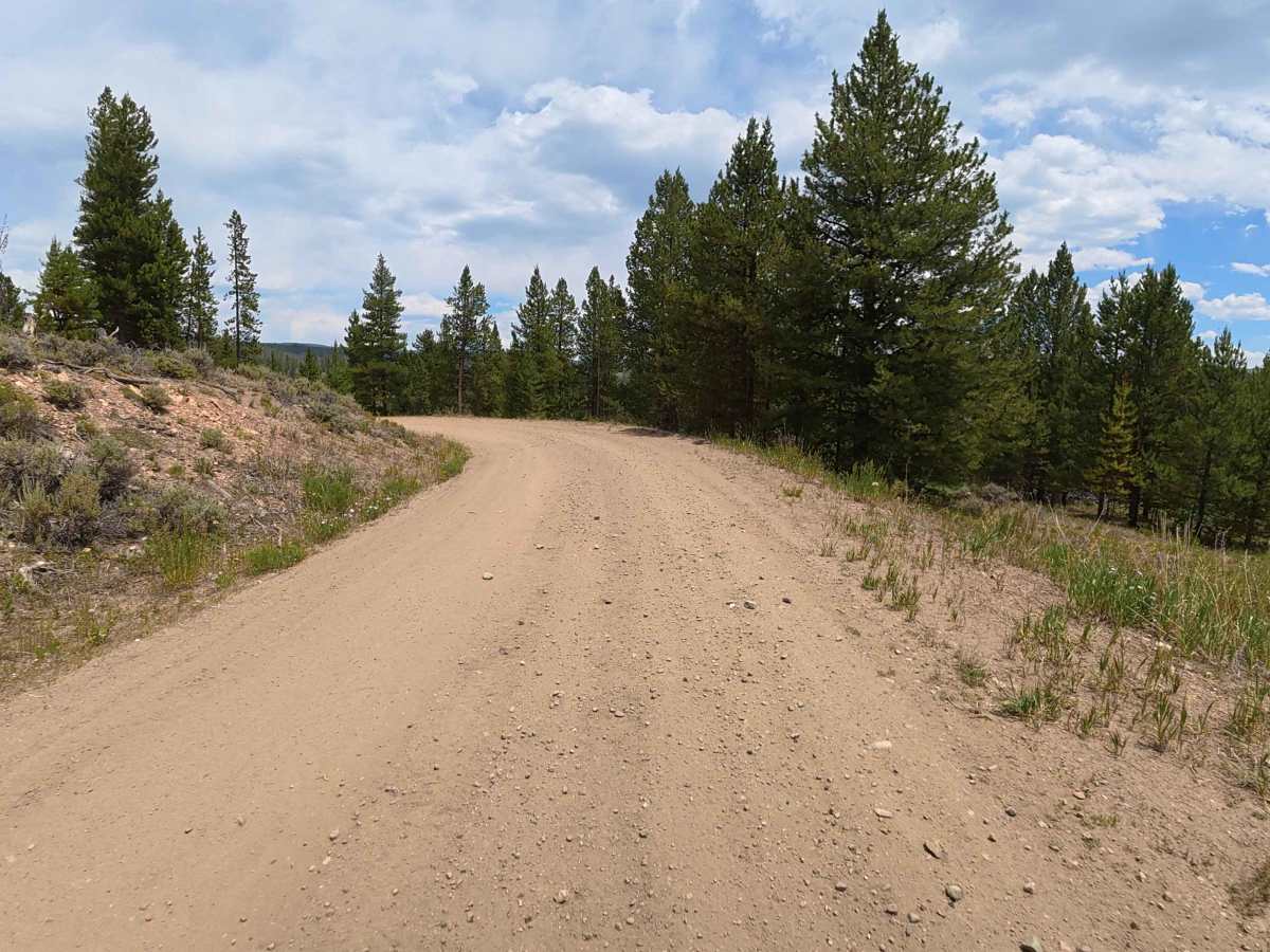 Spruce Divide Road - FS 275 photo 3