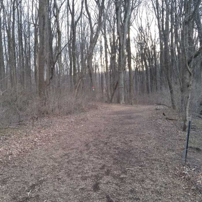 Near Oregon Ridge Park