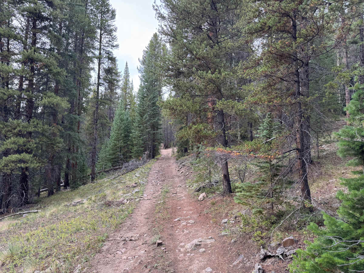 Jones Gulch Way Road photo 3